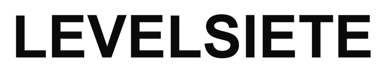 LEVELSIETE logo